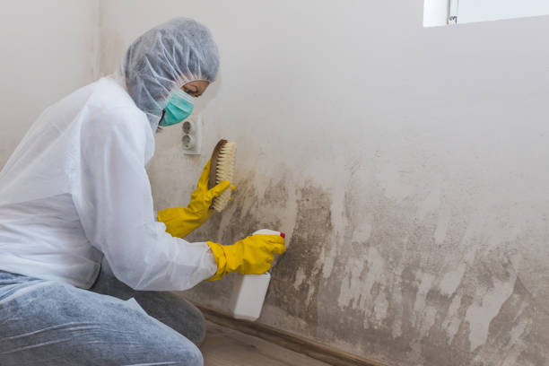 Forensic Mold Investigation